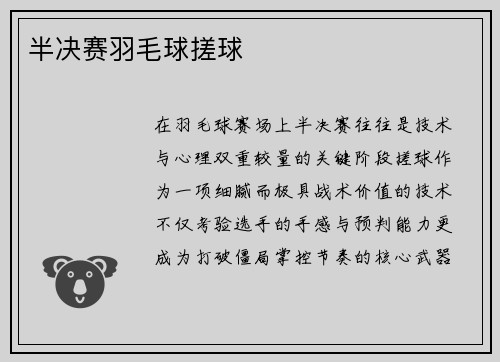 半决赛羽毛球搓球