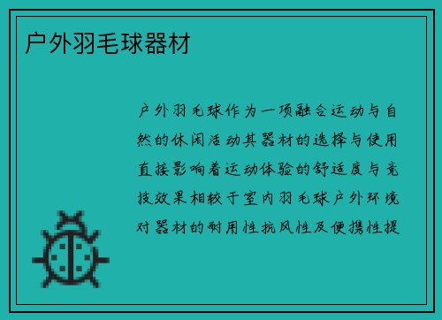 户外羽毛球器材