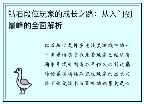 钻石段位玩家的成长之路：从入门到巅峰的全面解析