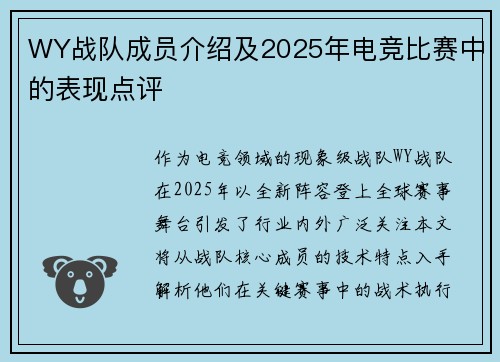WY战队成员介绍及2025年电竞比赛中的表现点评